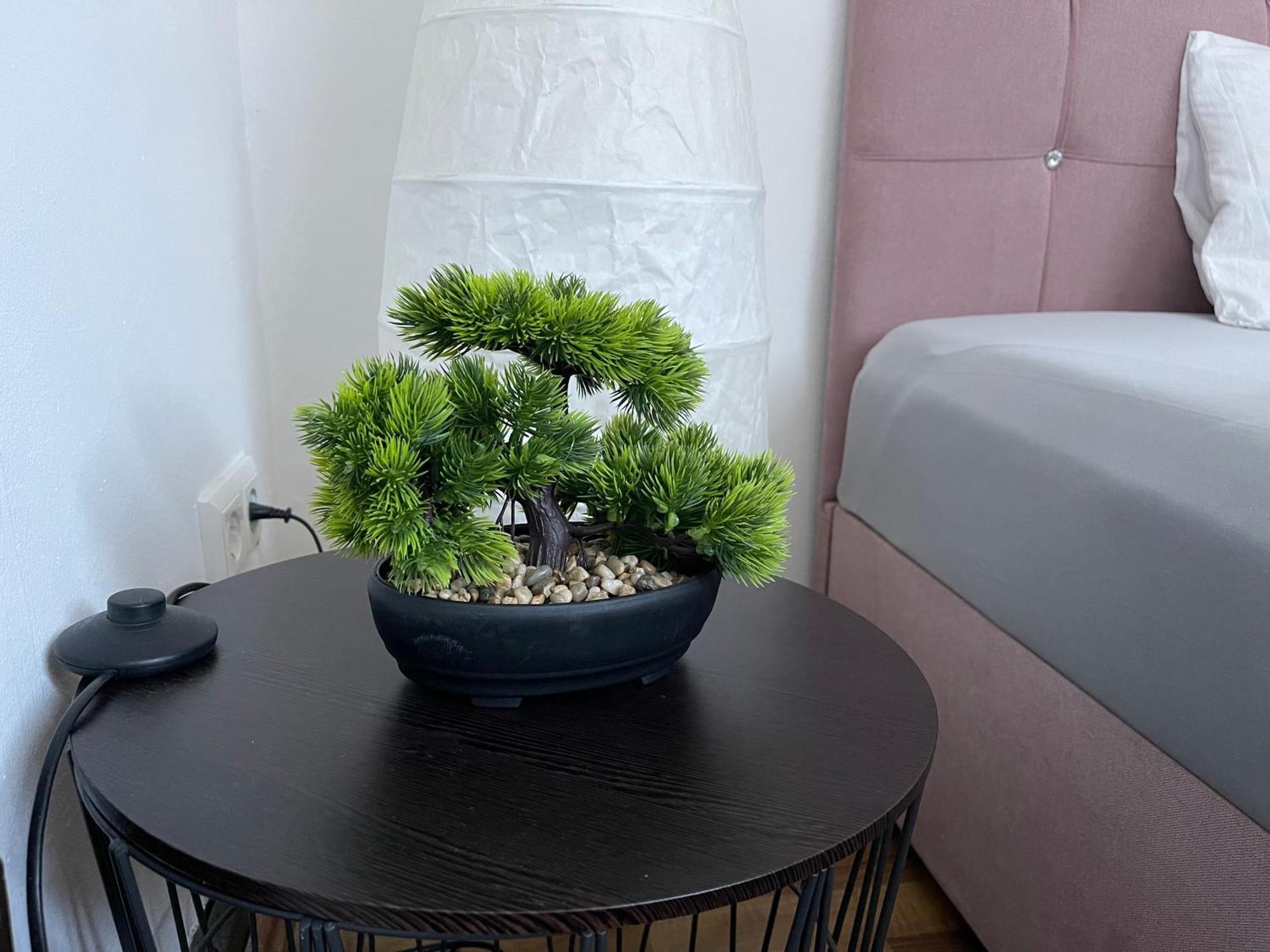 Bequemes Einzelzimmer Im Herzen Von 카셀 외부 사진